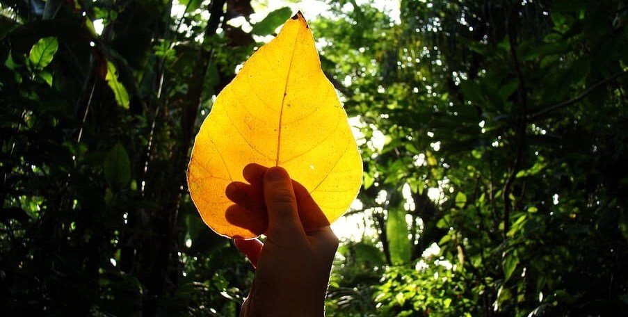 Experiências Sonoras