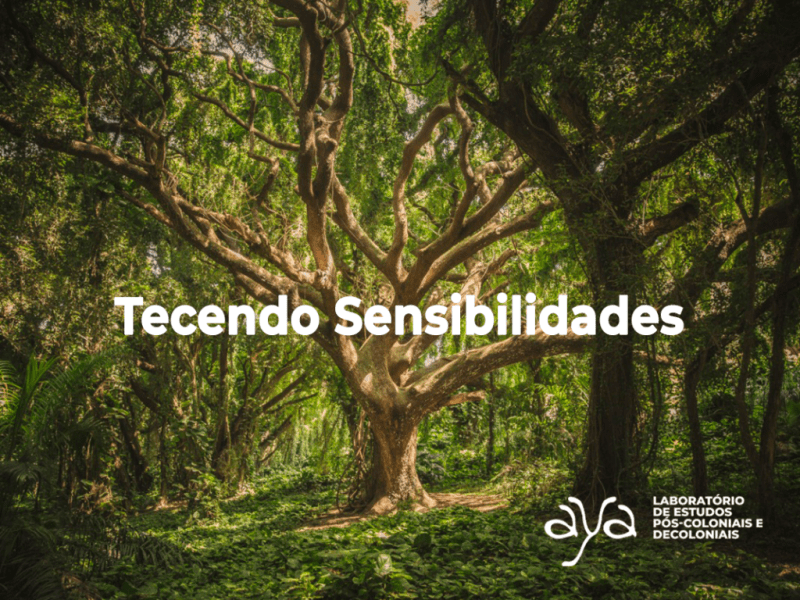 Tecendo Sensibilidades