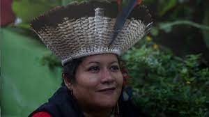 NHANDEREKO comida e educação&nbsp;(2020)