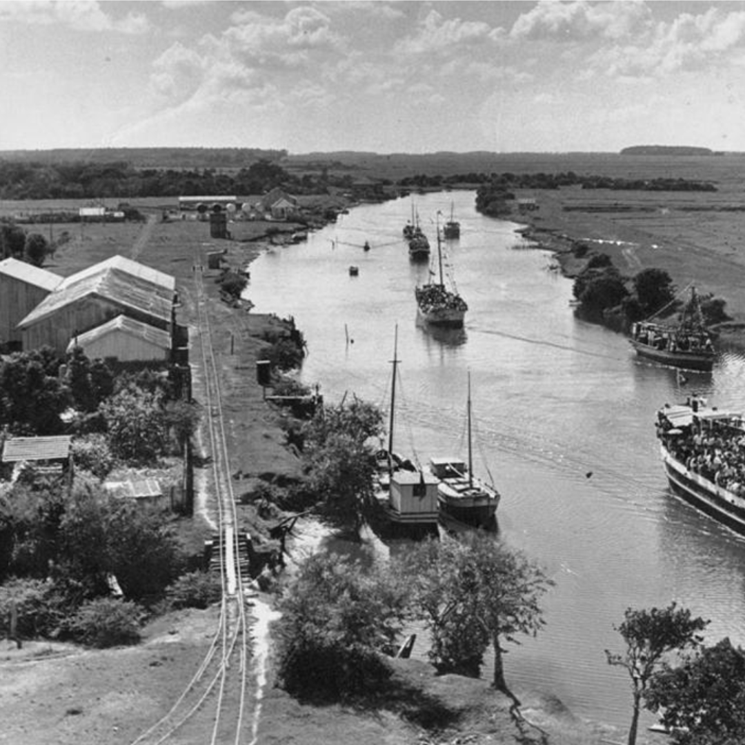 PARENTESCOS, SOLIDARIEDADES E PRÁTICASCULTURAIS: ESTRATÉGIAS DE MANUTENÇÃO DE UMCAMPESINATO NEGRO NO LITORAL NEGRO DO RIOGRANDE DO SUL (do século XIX ao tempo&nbsp;presente)