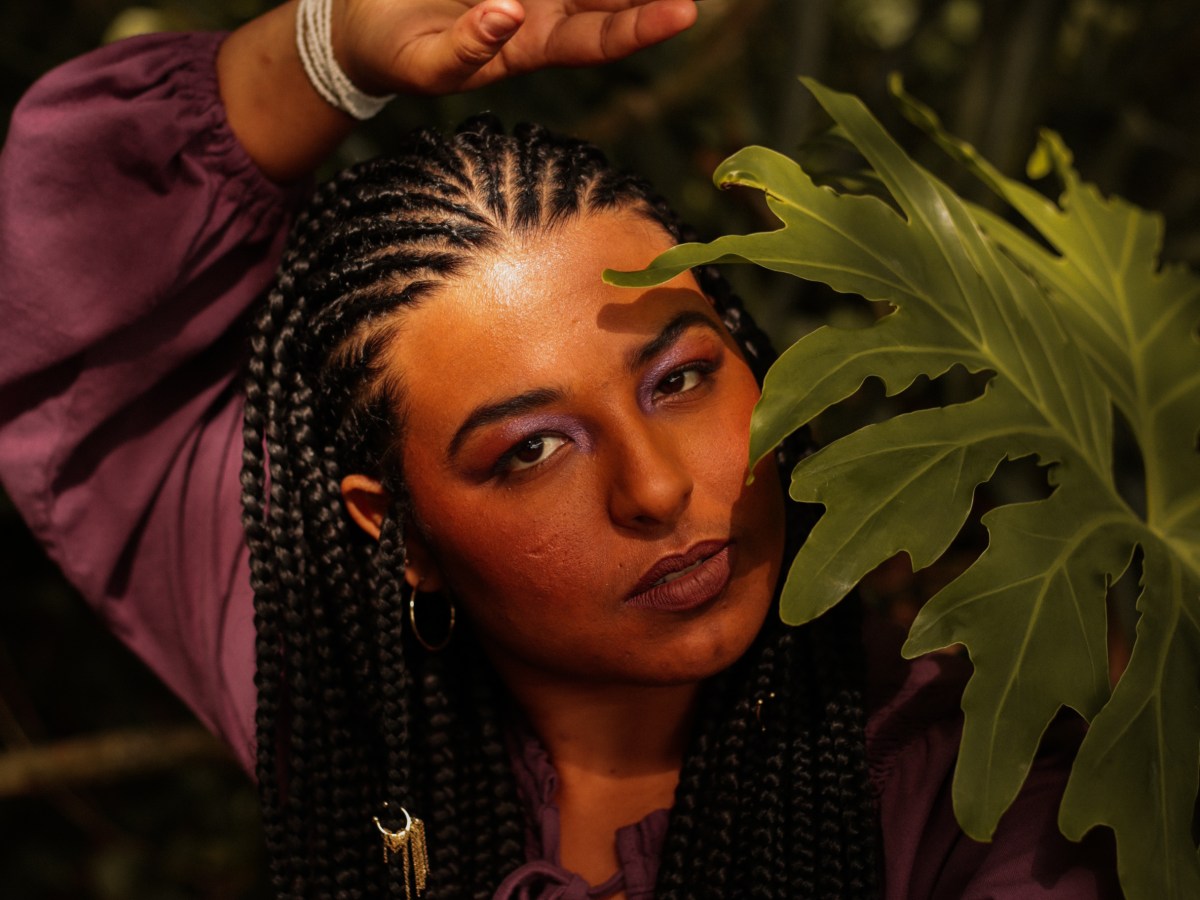 Anis de Flor por Saul&nbsp;Smith