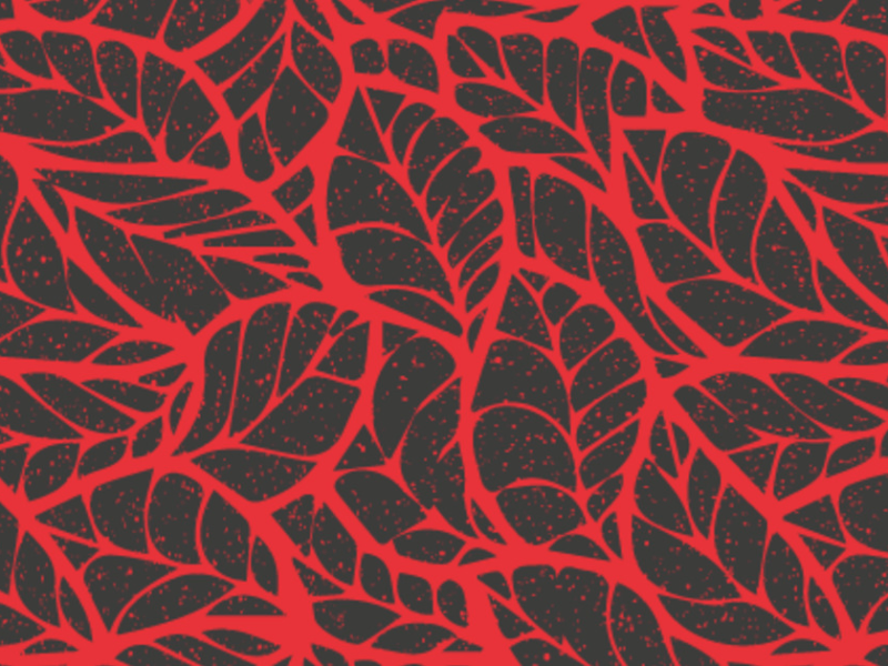 PEDAGOGIA DAS ENCRUZILHADAS